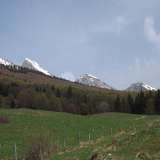 cime varie