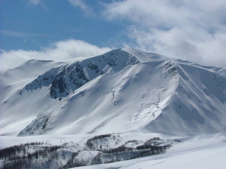 Cipolla e Prado