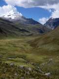 Cordillera 2010