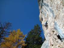 Autunno in Val S. Nicolo'