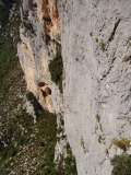 verdon2