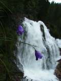 Cascate Alte (Gruppo Brenta)