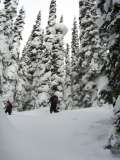 Somewhere at Rogers Pass