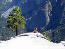 Yosemite