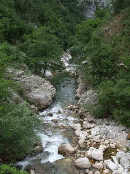forre di lavelle
