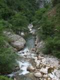 forre di lavelle