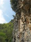 8_Albenga_Colosseo