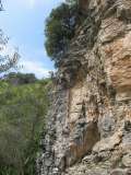 9__Albenga_Colosseo