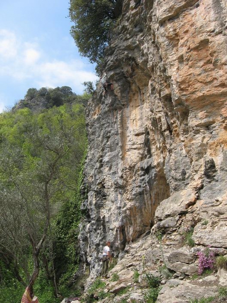11_Albenga_Colosseo