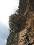 13_Albenga_Colosseo