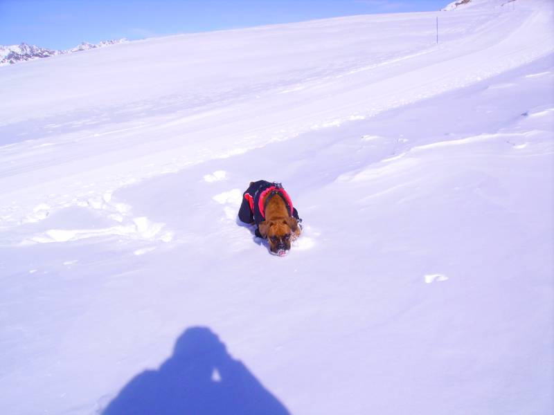 Trilly ski