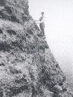 Fehrmann sulla Winkler