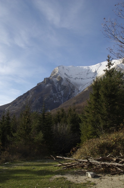 M. Vettore da Santa Maria in Pantano