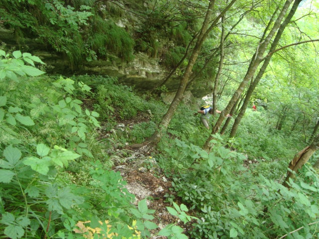 08