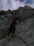 Petit aig vert