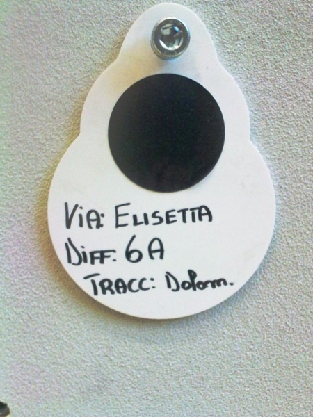 Elisetta
