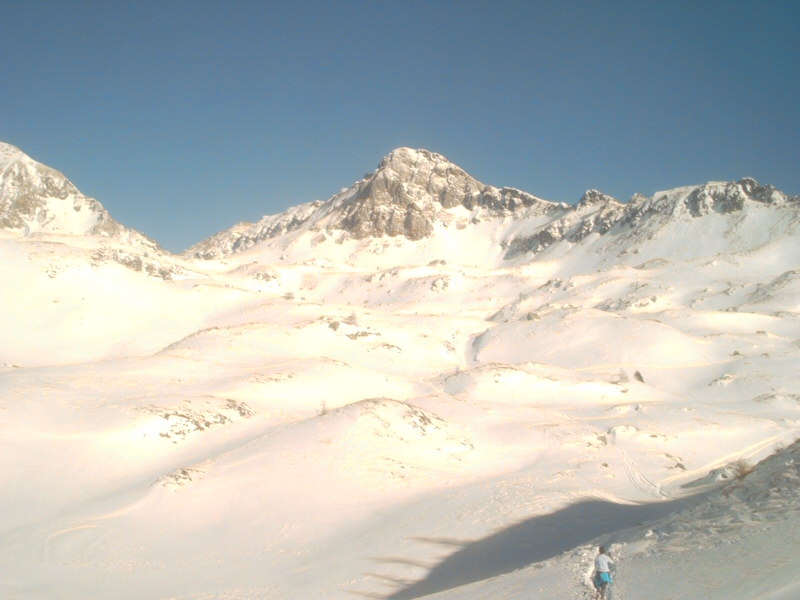 monti bazena