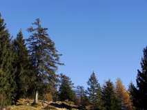cielo blu