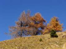 autunno