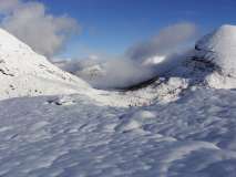 neve