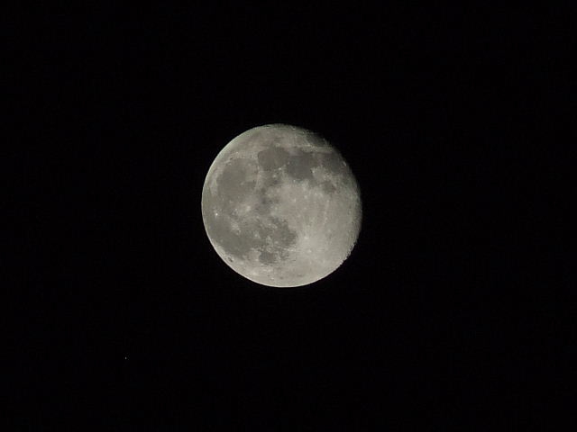 luna