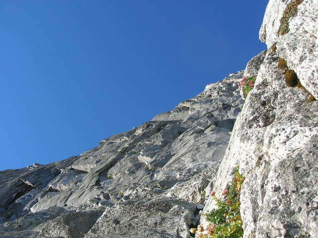 adamello