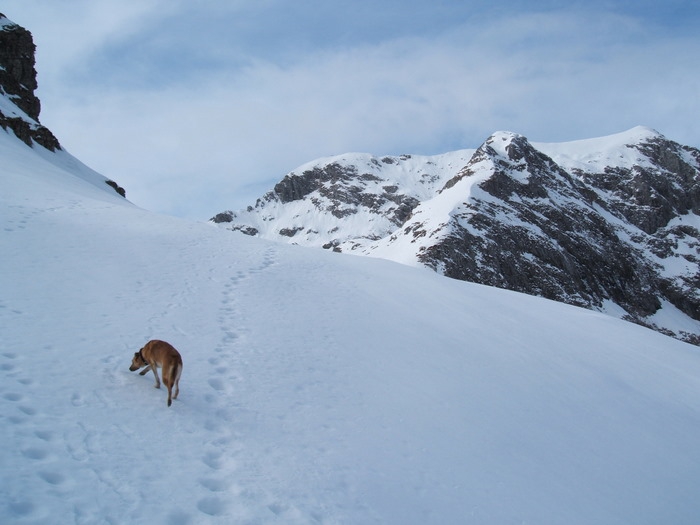 Apuane, verso Borra di Canala