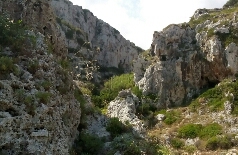 Ciolo