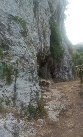 Ciolo