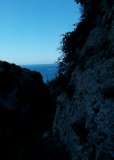 Ciolo