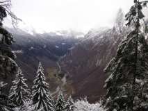 Timau da casera Pramosio Alpi Carniche