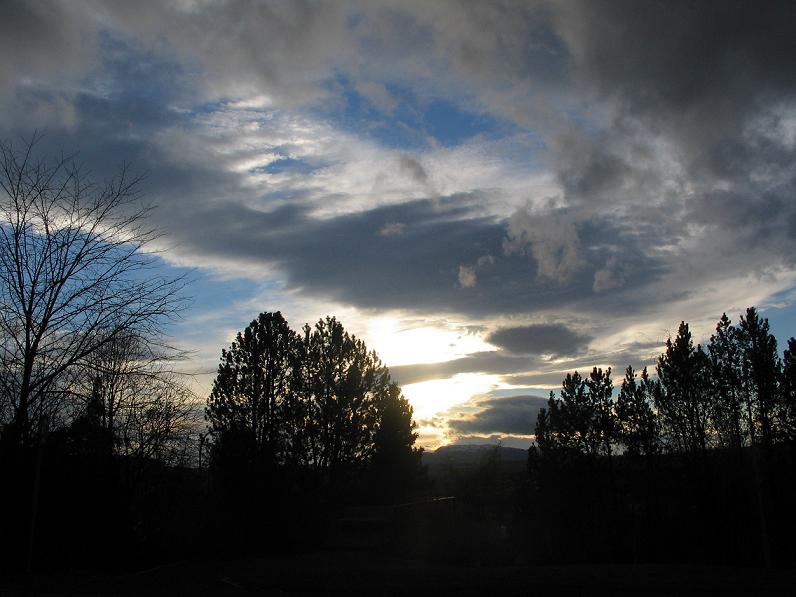Sole di mezzogiorno