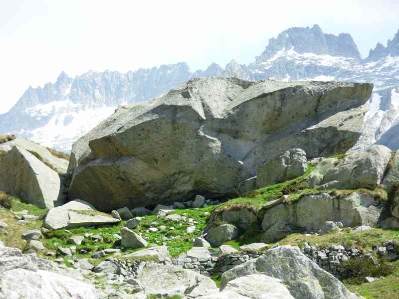 in  quota