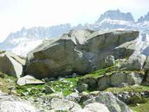 in  quota
