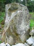 il brutto