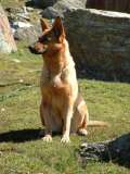 Sally_001_attenzione