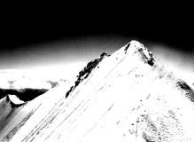Bernina