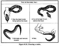bistecche di vipera