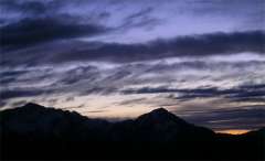 Alba
