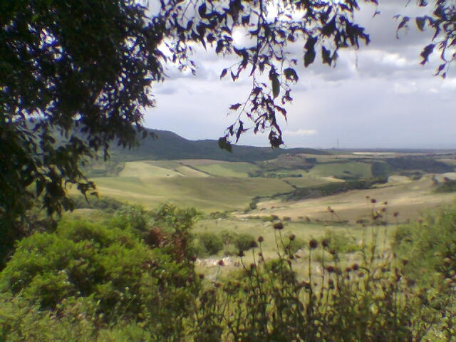 Panorama da ripa