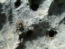 Sperlonga 6