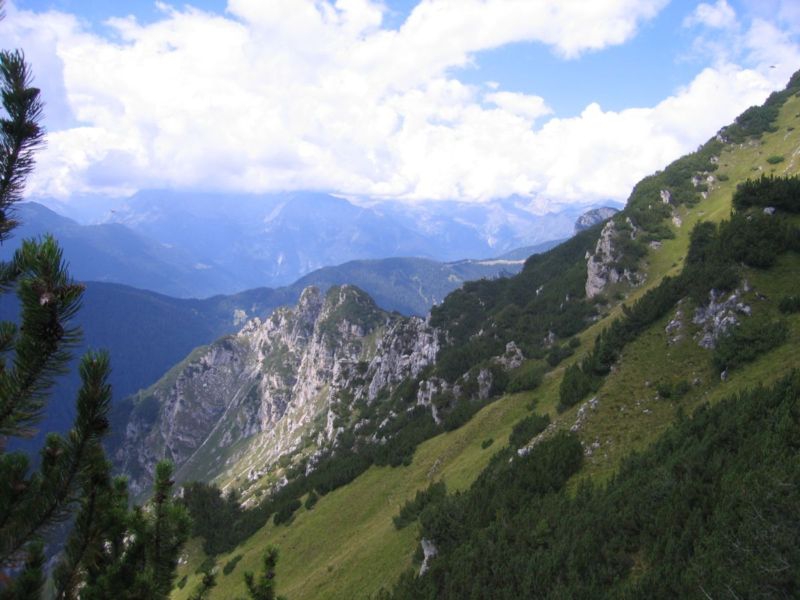 val algone