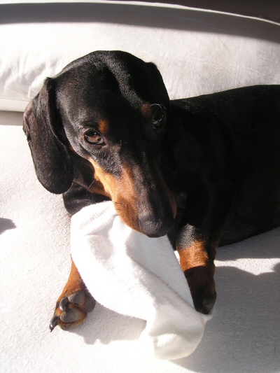 Tobi