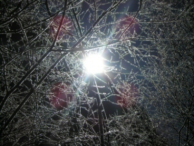 Sole invernale