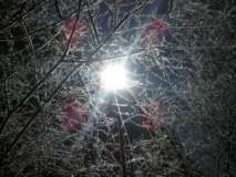 Sole invernale