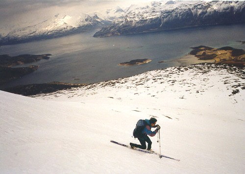 Lyngsteidet