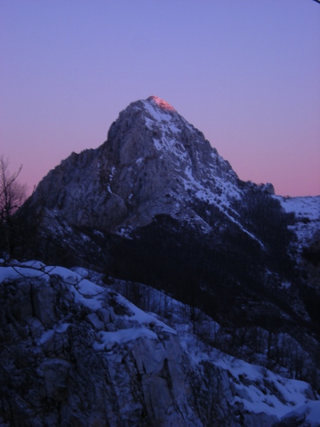 grondilice2