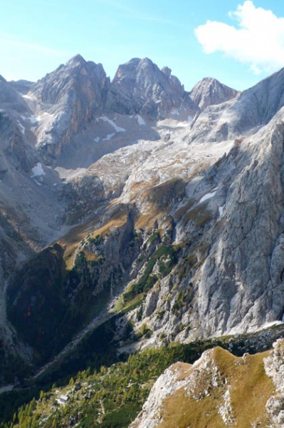 Vista