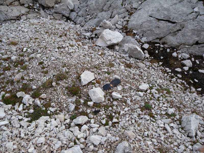 scarpa 1