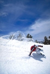 skiboard3